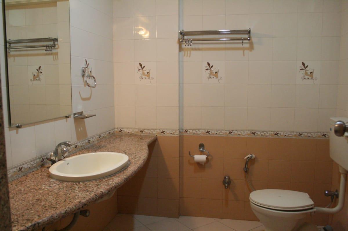Hotel Sai International Peth  Extérieur photo